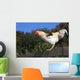 Traditional Leghorn Rooster Crowing Wall Decal