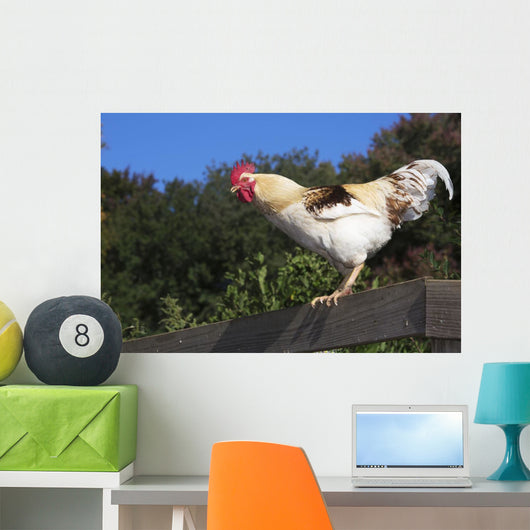 Traditional Leghorn Rooster Crowing Wall Decal