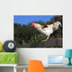 Traditional Leghorn Rooster Crowing Wall Decal