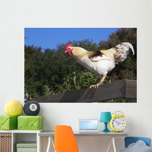 Traditional Leghorn Rooster Crowing Wall Decal