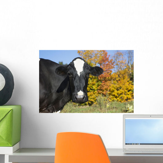 Holstein Dairy Cow Autumn Wall Decal