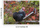 Bantam Black Cochin Rooster Wall Decal