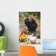 Large Black Australorp Rooster Wall Decal