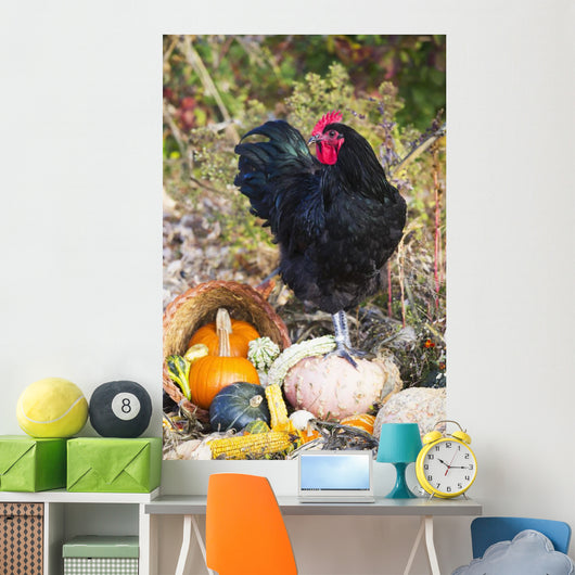 Large Black Australorp Rooster Wall Decal