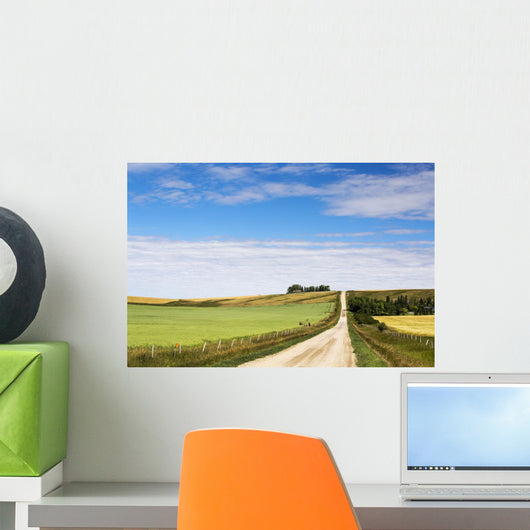 Gravel Road Climbing Hill Wall Decal