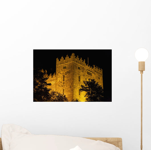 Bunratty Castle lit against black sky Wall Mural
