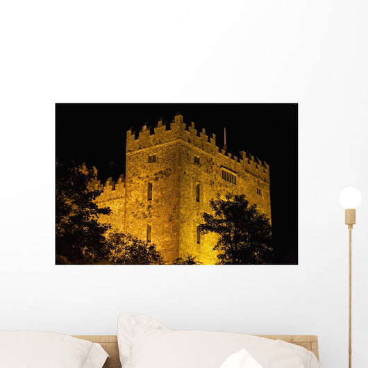 Bunratty Castle lit against black sky Wall Mural