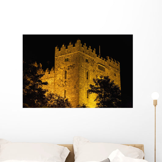 Bunratty Castle lit against black sky Wall Mural