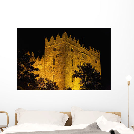 Bunratty Castle lit against black sky Wall Mural