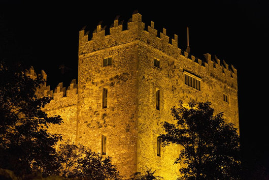 Bunratty Castle lit against black sky Wall Mural