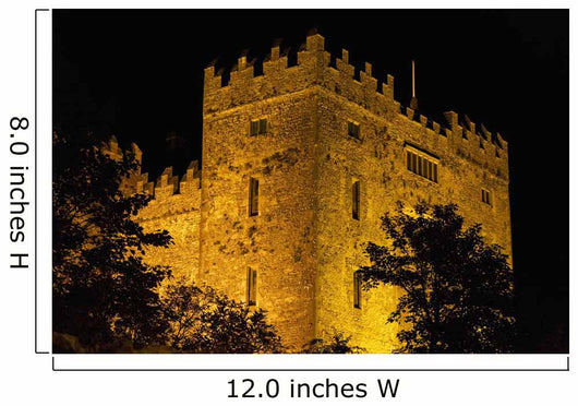 Bunratty Castle lit against black sky Wall Mural