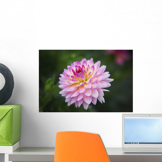 Pink Zinnia Flower Wall Decal