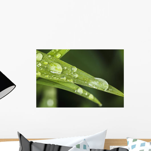 Up Day Lily Leaves Wall Decal