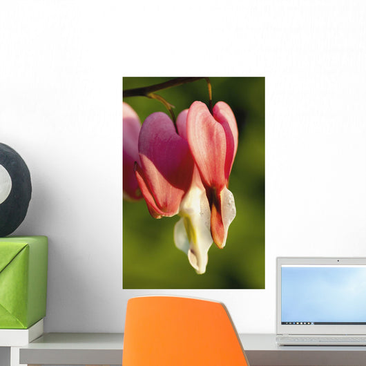 Up Bleeding Heart Wall Decal