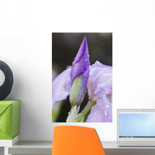 Up Iris Wall Decal