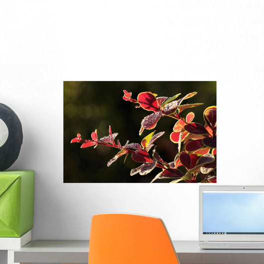 Up Berberis Wall Decal Design 1