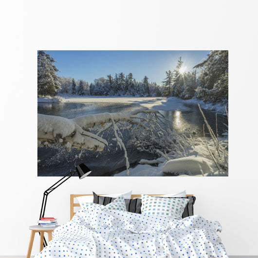 Winter Landscape with Ice Wall Decal Design 1