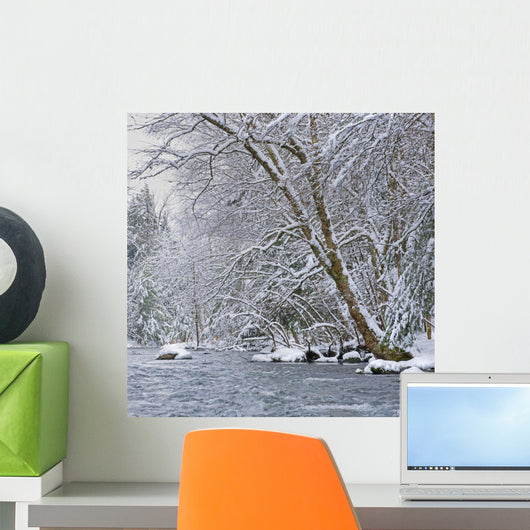 Water Flowing River with Wall Decal Design 1