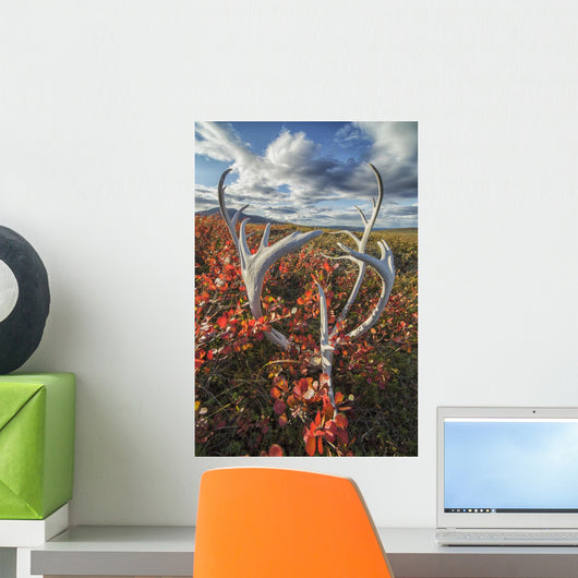 Caribou Antlers Wall Decal