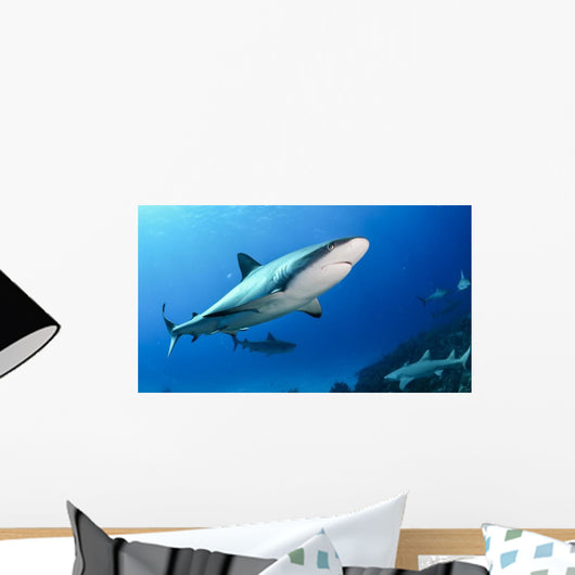 Shark Bahamas Wall Decal