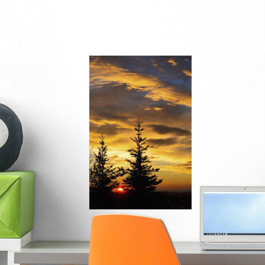 Silhouette of two evergreen trees, sunrise Wall Mural