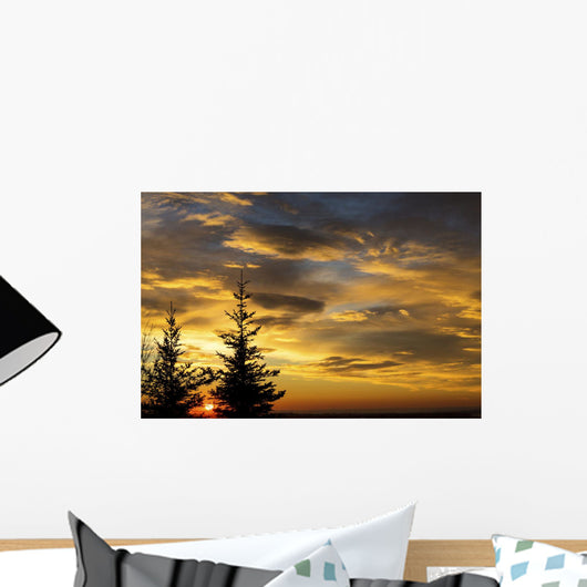 Silhouette of two evergreen trees, sunrise Wall Mural
