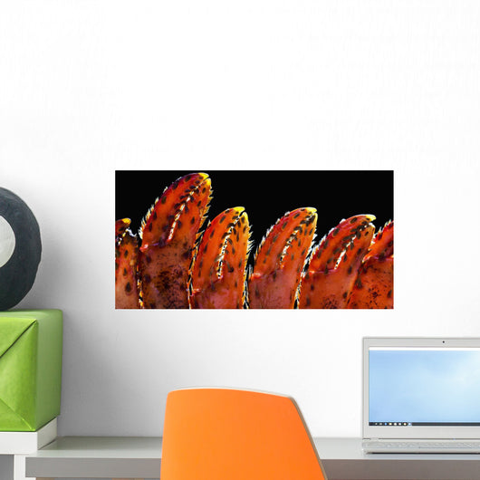 Up Lobster Claws against Wall Decal