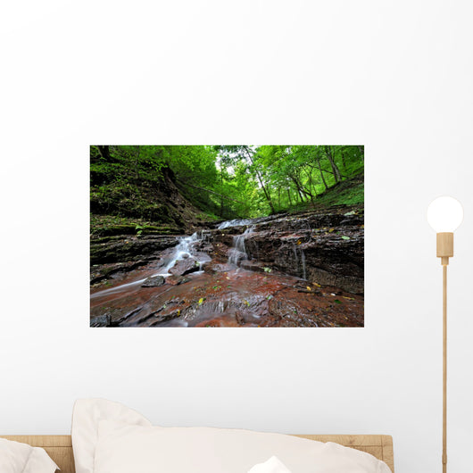 Landscape Wall Mural