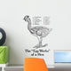 Historic Anatomical Illustration Hens Wall Mural