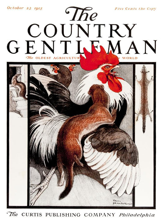 Cover of Country Gentleman agricultural magazine Wall Mural