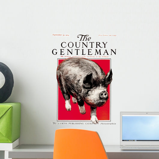 Cover of Country Gentleman agricultural magazine Wall Mural