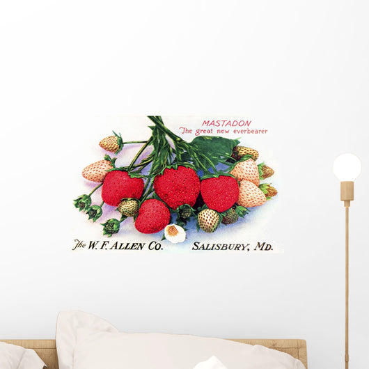 Historic Allen's Book of Berries with illustration of strawberries Wall Mural