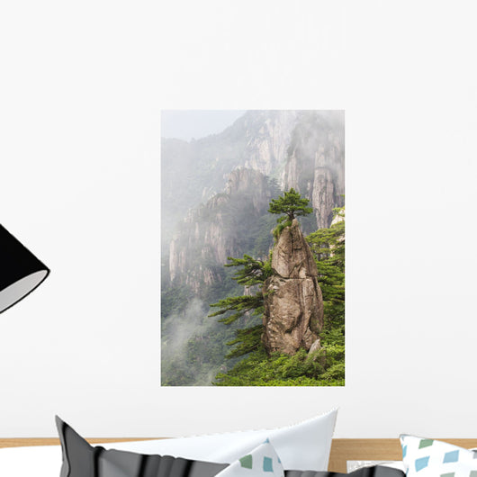 A Flower Blooming on a Brush Tip formation Wall Mural