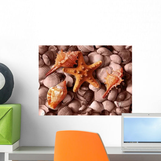 Shells Wall Mural