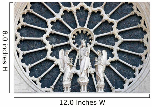 Outside Notre Dame Wall Mural