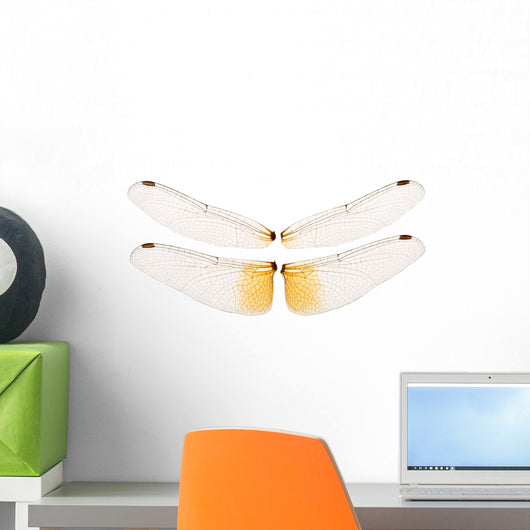 Wings Dragonfly Wall Decal Sticker Set