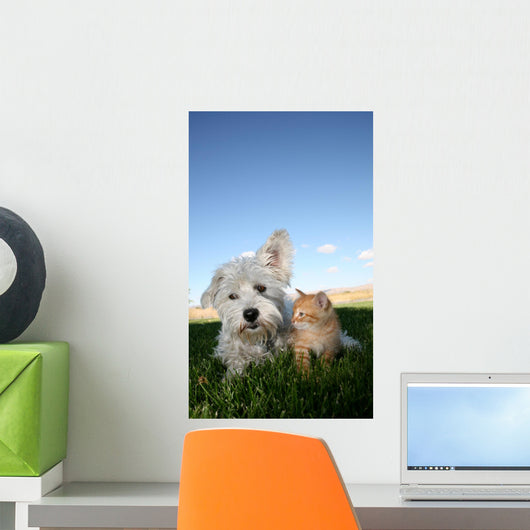 Hund und Katze Wall Mural
