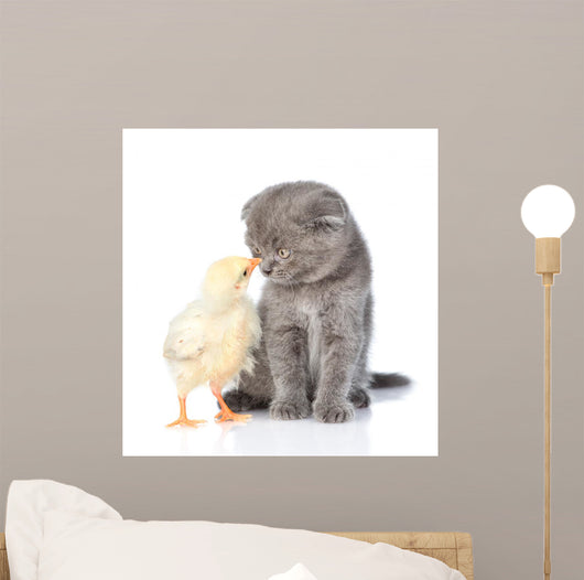 Small Chicken and Kitten Wall Mural