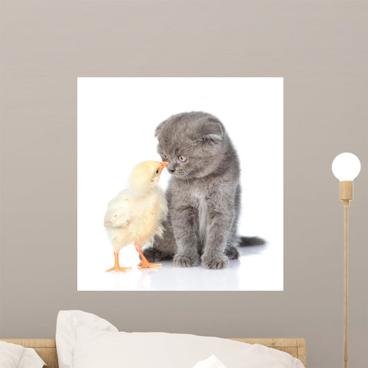 Small Chicken and Kitten Wall Mural