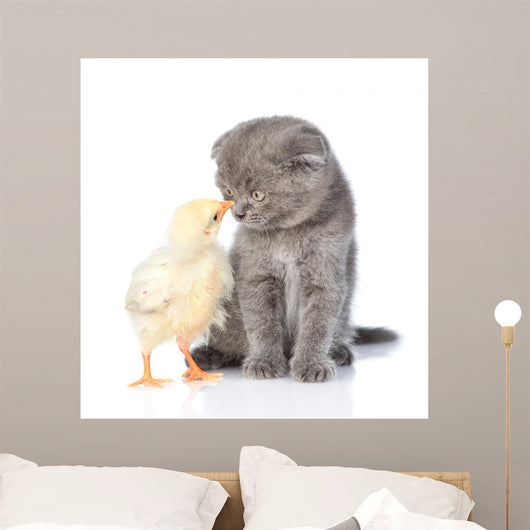 Small Chicken and Kitten Wall Mural