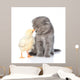Small Chicken and Kitten Wall Mural