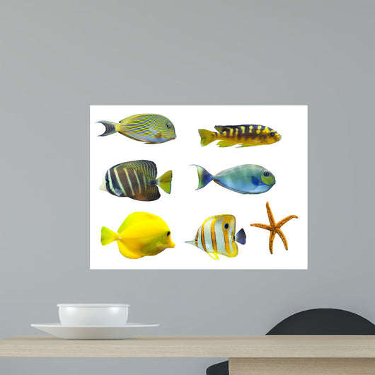 Tropical World Fish