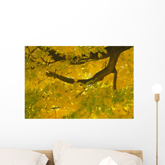yellow and green leaves on a tree branch Wall Mural