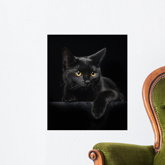 Black cat with yellow eyes Wall Mural