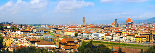 Panorama Florence Wall Mural