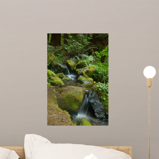 Waterfall in the Forest Wall Mural