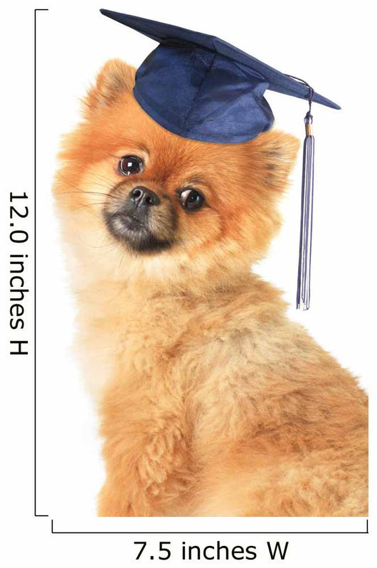 Pomeranian Wall Decal