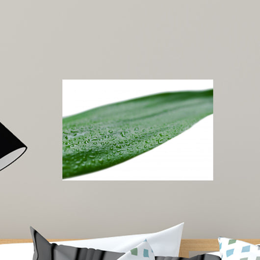 Bamboo Leaves with Water