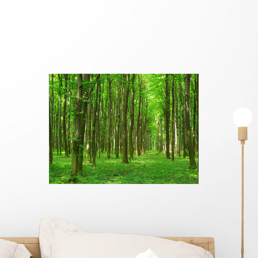 Landscape Wall Mural