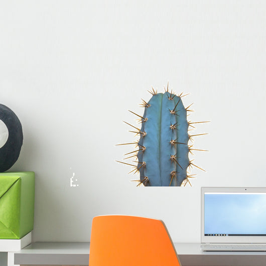 Trichocereus Macrogona Wall Mural
